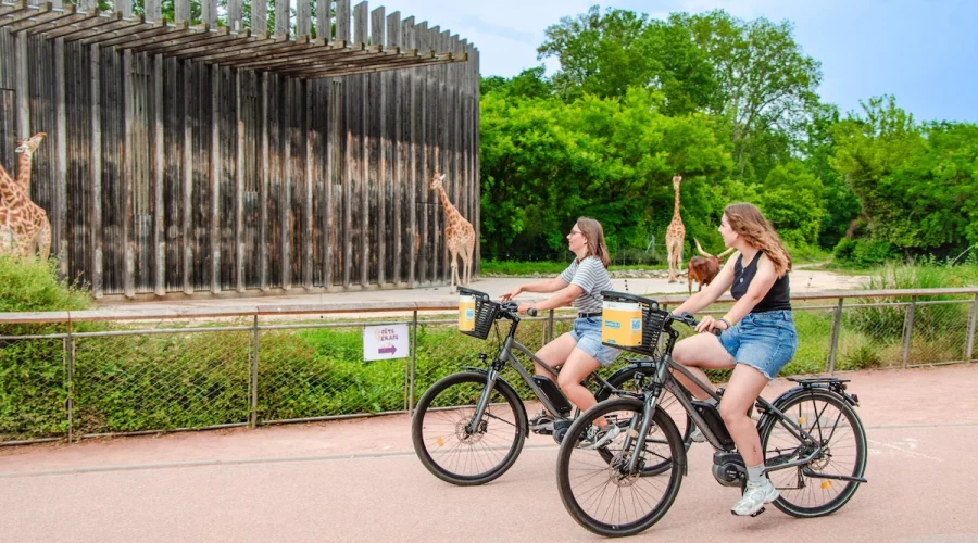 Location de vélo électrique à Lyon pour visiter le parc de la Tête d'Or