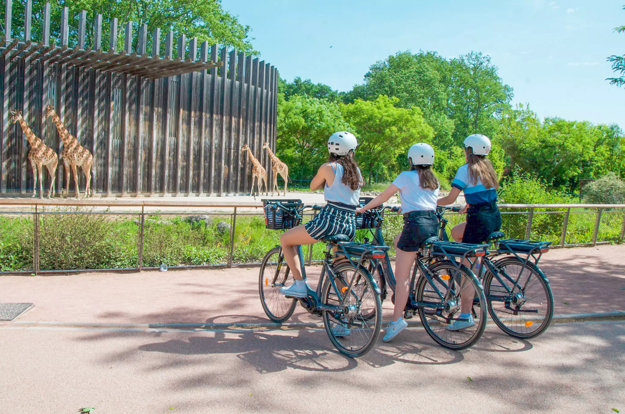 Itinéraire vélo à Lyon : le grand tour